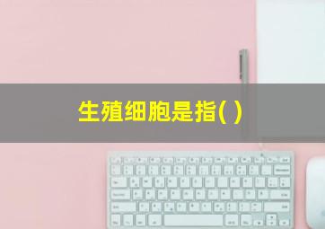 生殖细胞是指( )